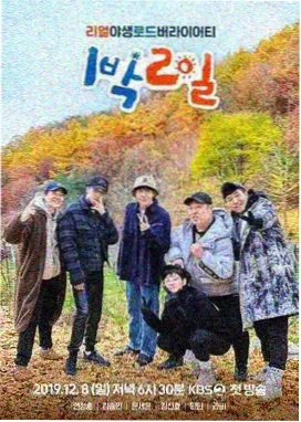 91在线一区 王牌对王牌 综艺在线